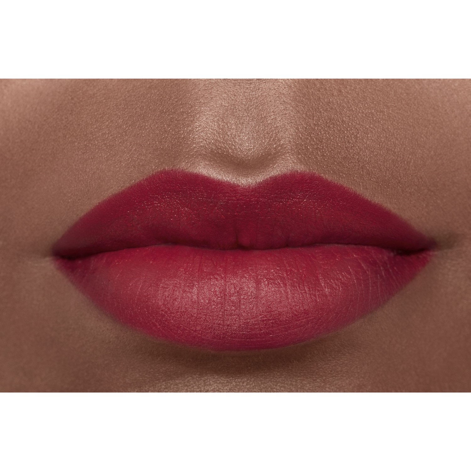 LA BARRA DE LABIOS ATERCIOPELADA LUMINOSA